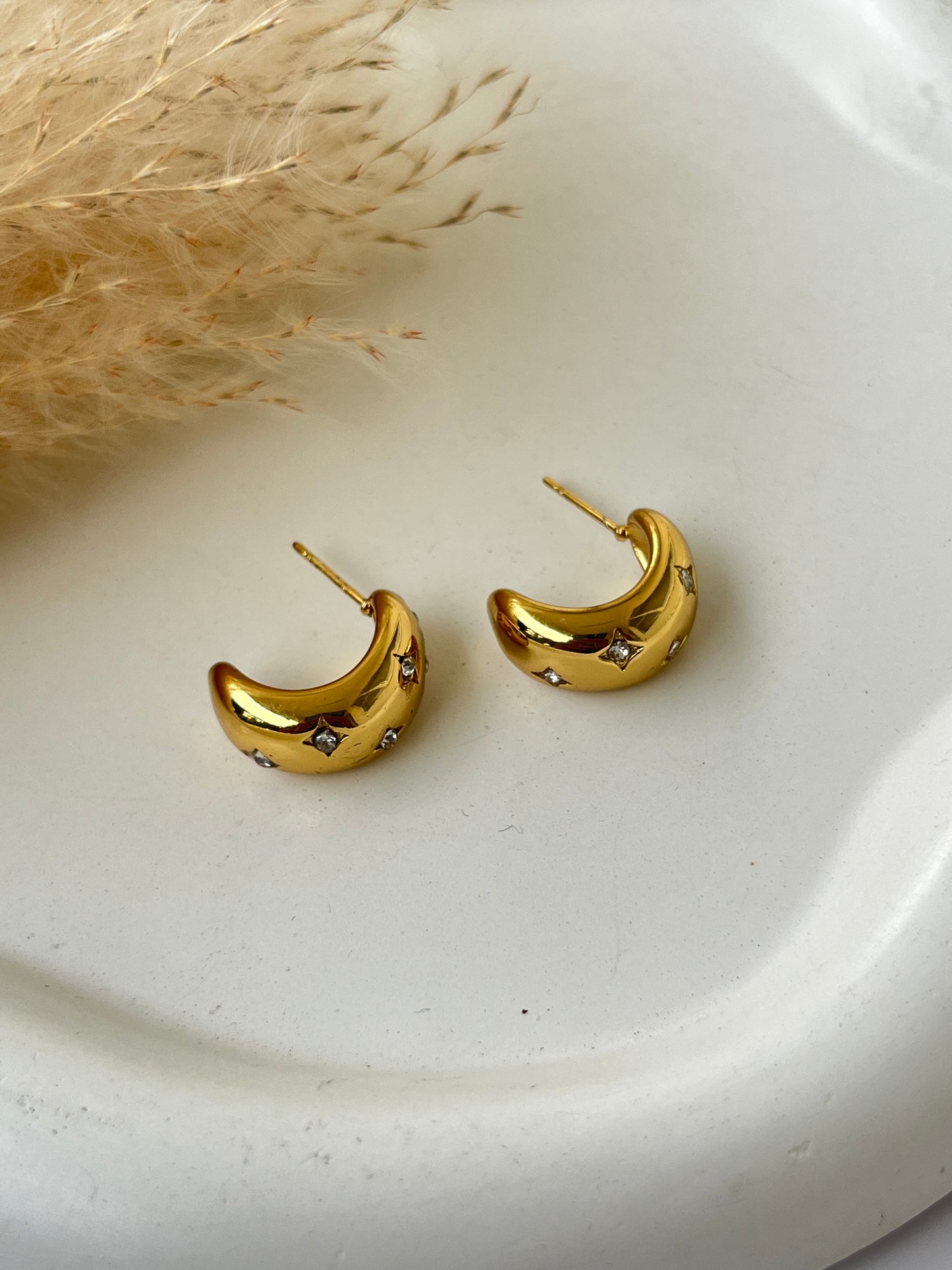 Zoey Earrings