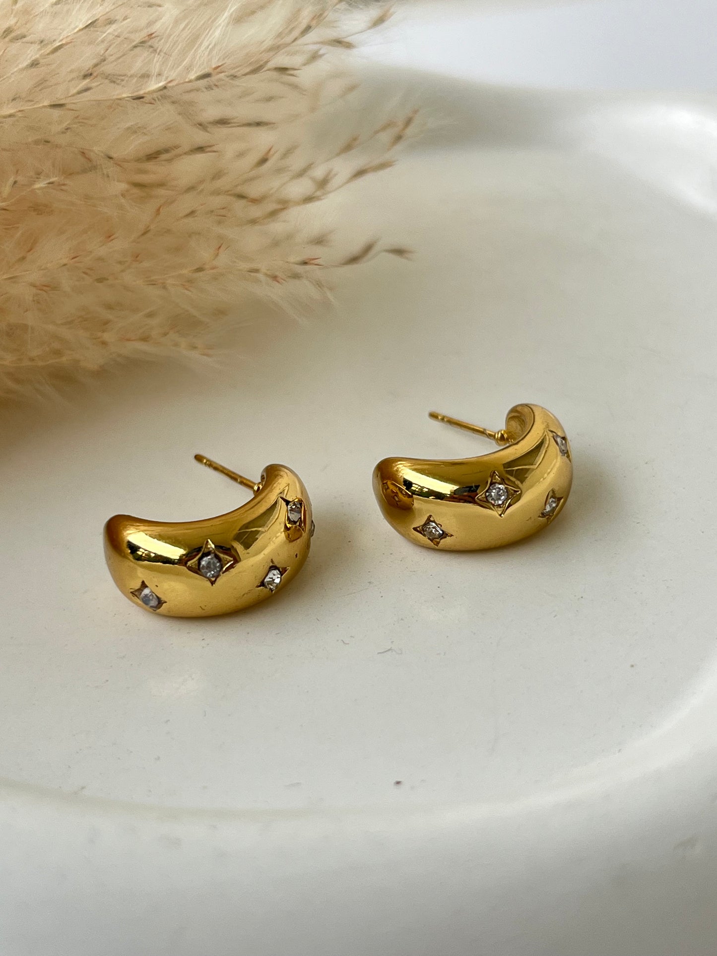 Zoey Earrings