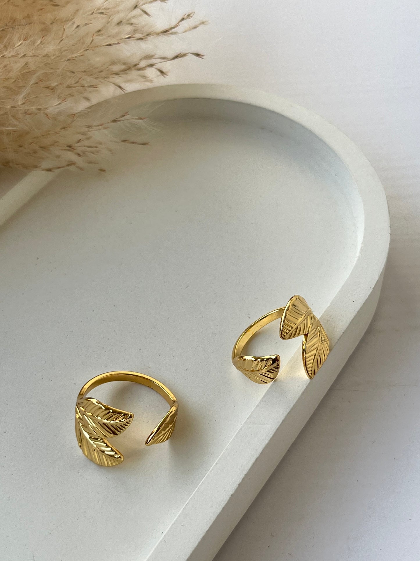 Leif Ring